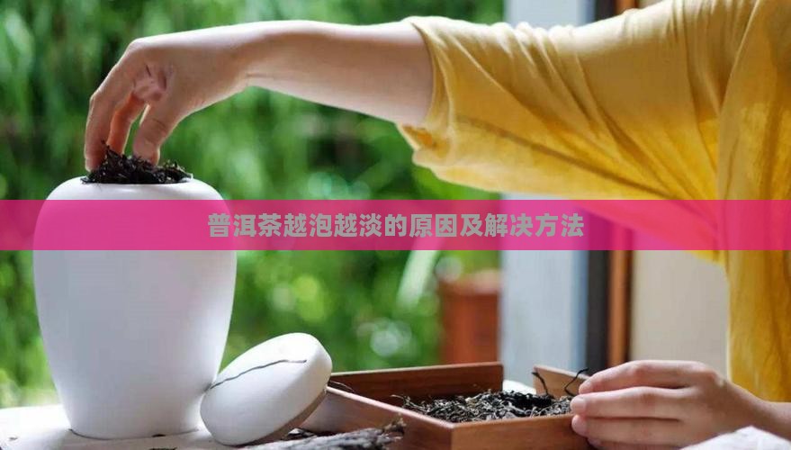 普洱茶越泡越淡的原因及解决方法