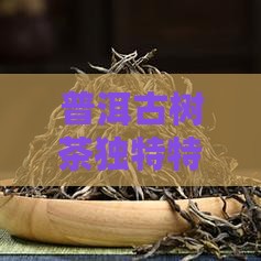 普洱古树茶独特特点与显著功效解析