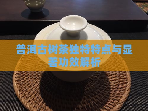 普洱古树茶独特特点与显著功效解析