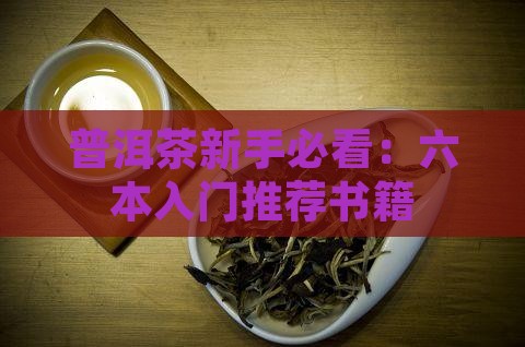 普洱茶新手必看：六本入门推荐书籍