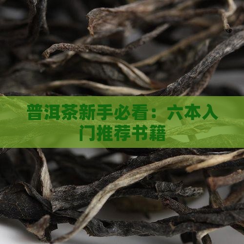 普洱茶新手必看：六本入门推荐书籍