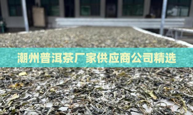 潮州普洱茶厂家供应商公司精选