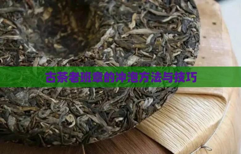 古茶老班章的冲泡方法与技巧