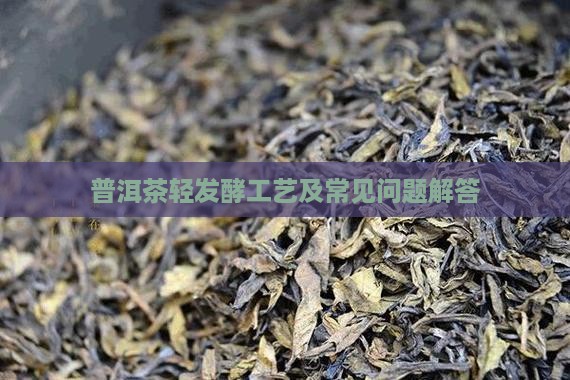 普洱茶轻发酵工艺及常见问题解答