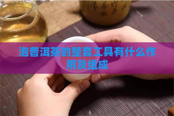 泡普洱茶的整套工具有什么作用及组成