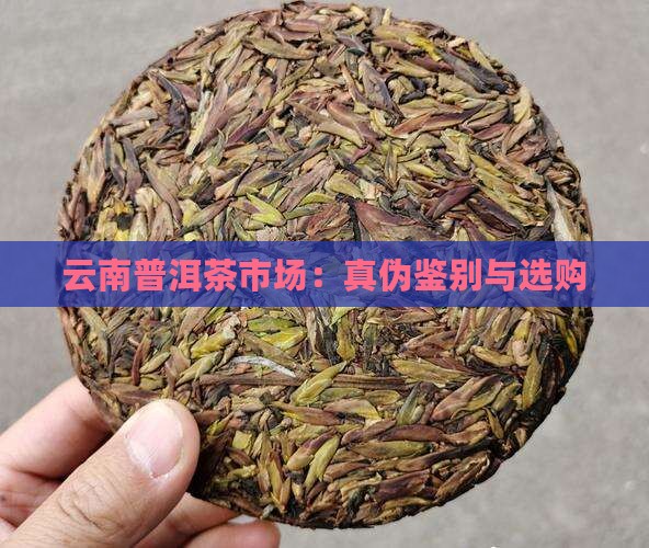 云南普洱茶市场：真伪鉴别与选购