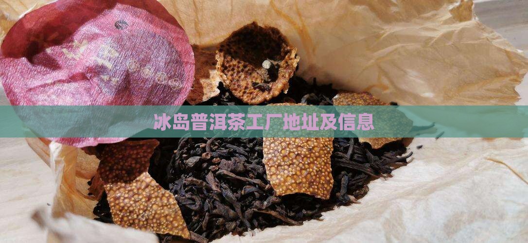 冰岛普洱茶工厂