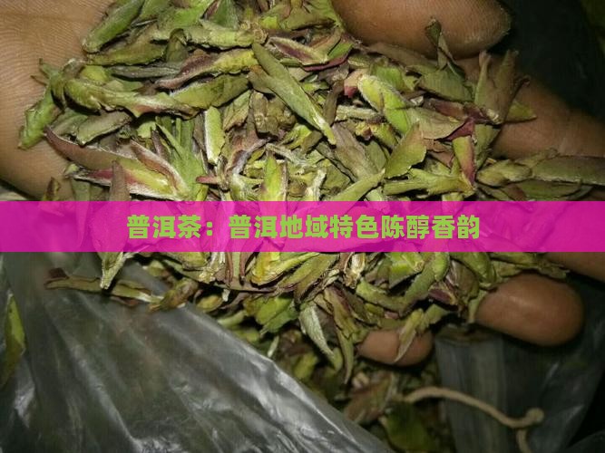 普洱茶的香味属于陈醇型