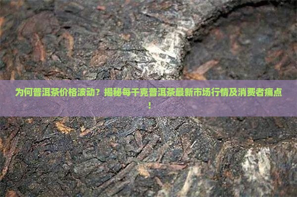 普洱茶一千克多少钱