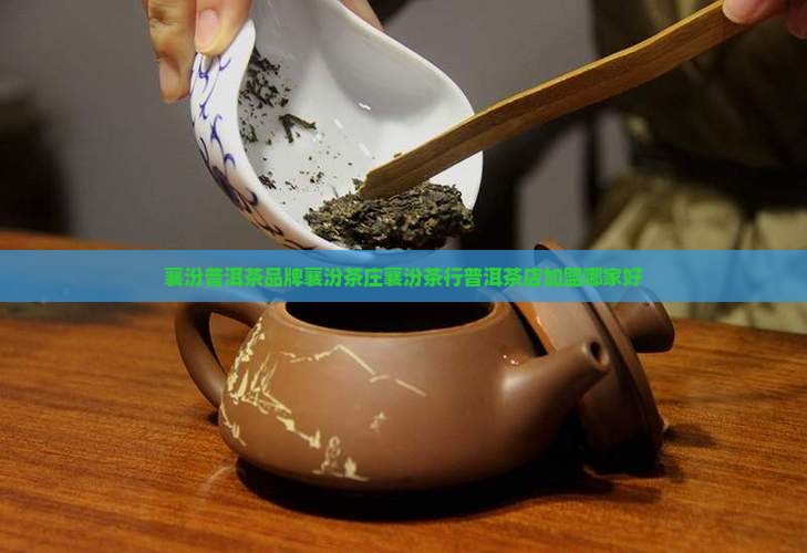 襄汾普洱茶品牌