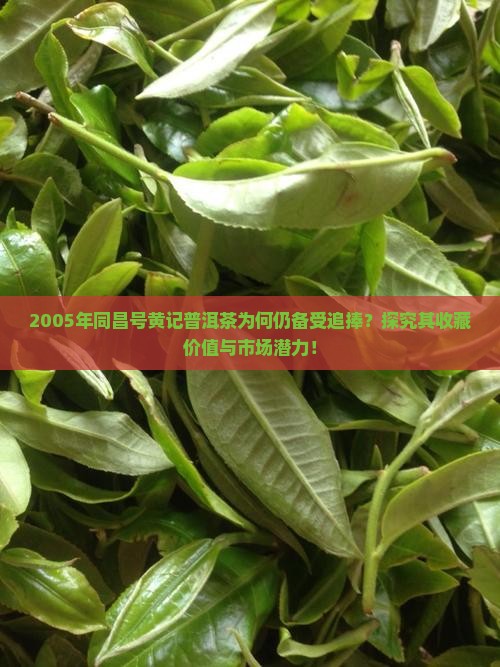 05年同昌号黄记普洱茶