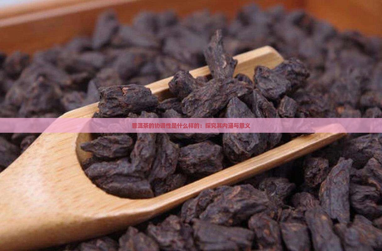 普洱茶的协调性是什么样的