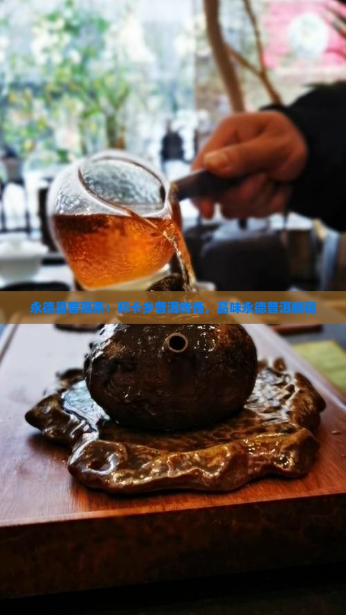 永德县邦卡乡普洱茶
