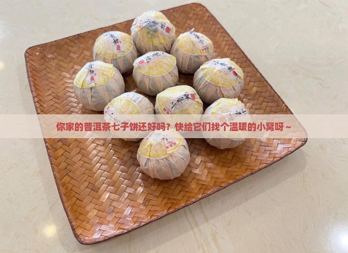普洱茶七子饼存储袋