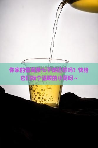 普洱茶七子饼存储袋