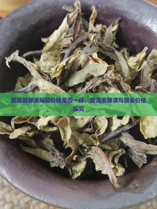 普洱茶酵液每箱价格