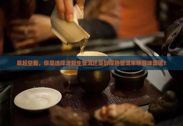 早上空腹喝生普洱还是熟普洱