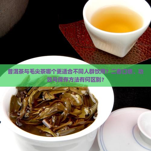 普洱茶与毛尖茶哪个好