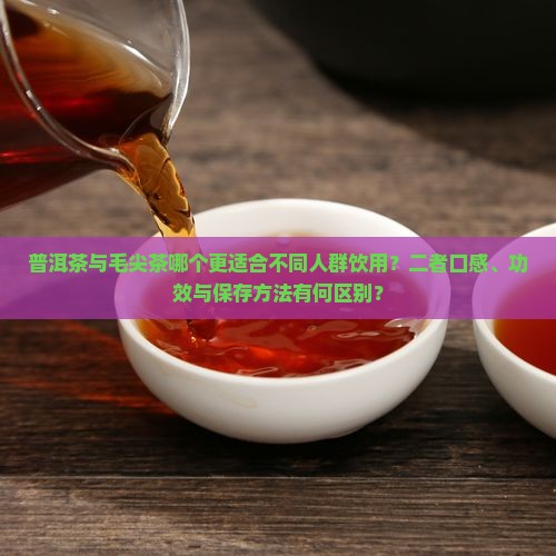 普洱茶与毛尖茶哪个好