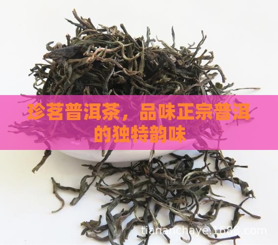 圣地珍茗普洱茶