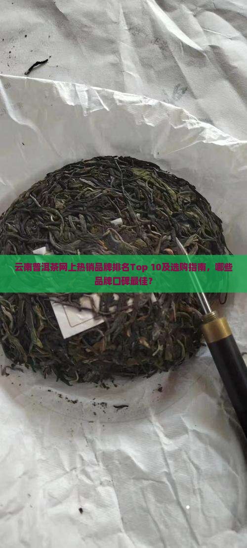云南十大普洱茶网上排名