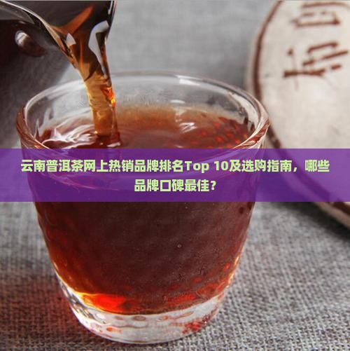 云南十大普洱茶网上排名