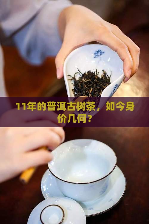 11年普洱茶古树纯料价格