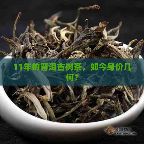 11年普洱茶古树纯料价格