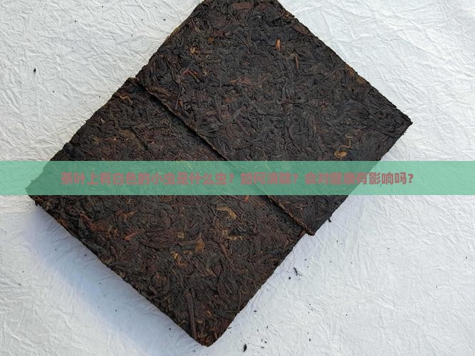 茶叶上有白色的小虫是什么虫