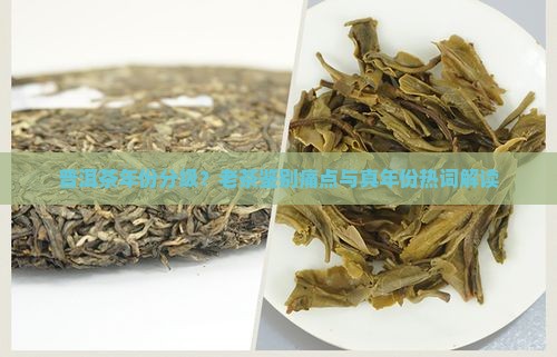 普洱茶年份分级