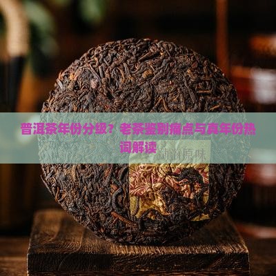 普洱茶年份分级