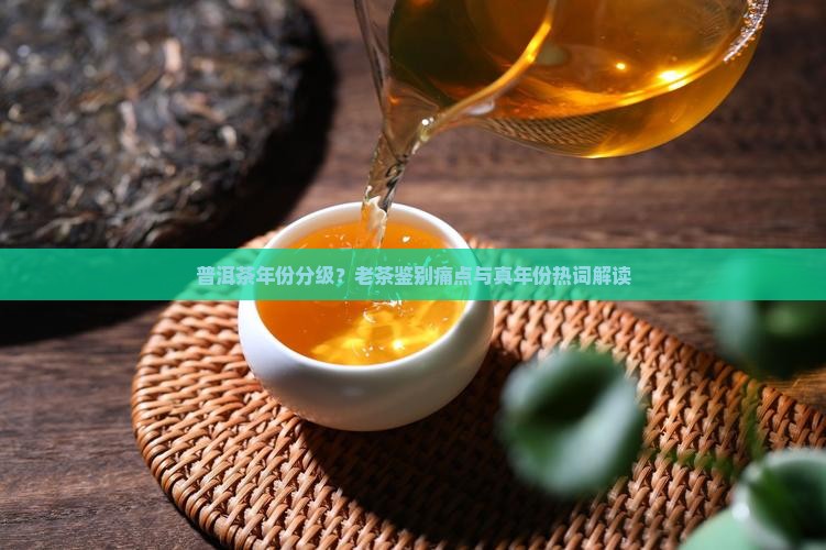普洱茶年份分级