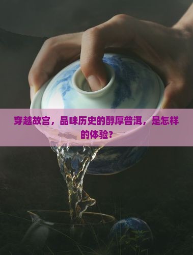 故宫宫苑普洱茶
