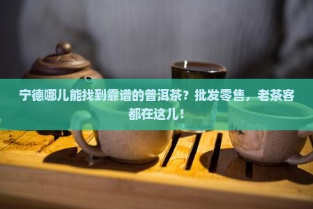 宁德普洱茶批发零售点在哪里