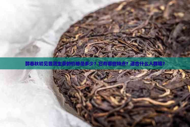醉春秋初见普洱生茶价格