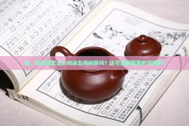 怎样分辨冰岛母树茶