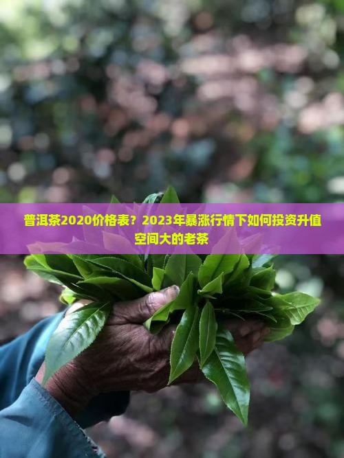 普洱茶2020价格表