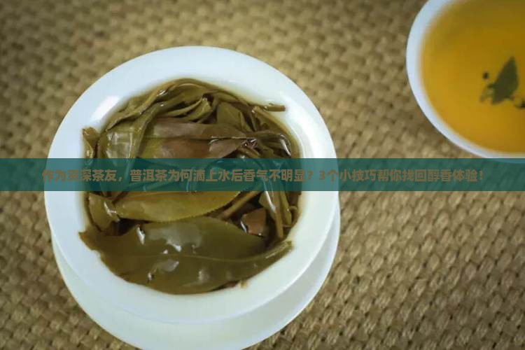 普洱茶滴水香不香的原因
