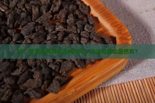 普洱茶拍卖生茶古树弯弓