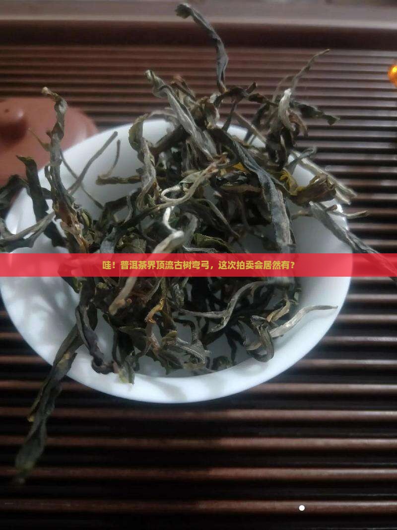 普洱茶拍卖生茶古树弯弓