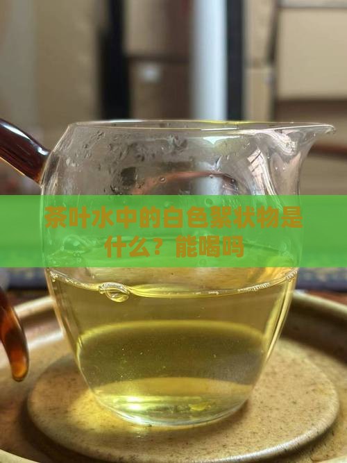 茶叶水中的白色絮状物