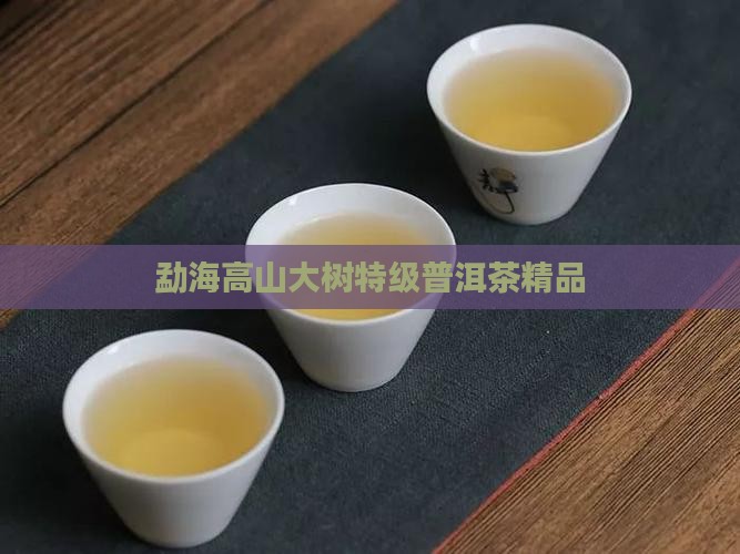 勐海高山普洱茶特级品