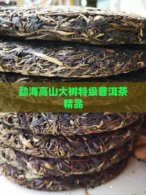 勐海高山普洱茶特级品