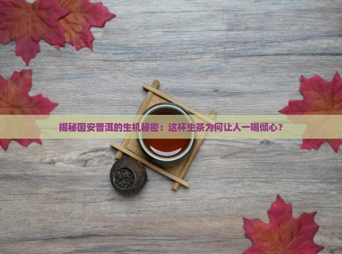 国安普洱茶生茶