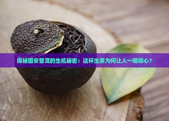 国安普洱茶生茶