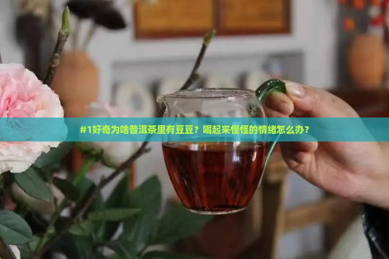普洱茶里的豆豆