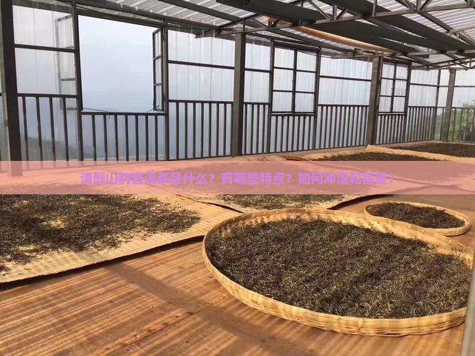 清醇山韵普洱茶 清醇山韵普洱茶
