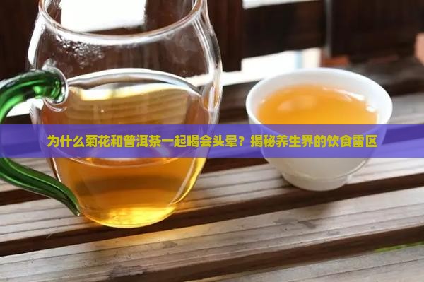 菊花和普洱茶一起喝头晕