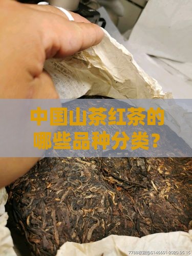 红茶的三种分类