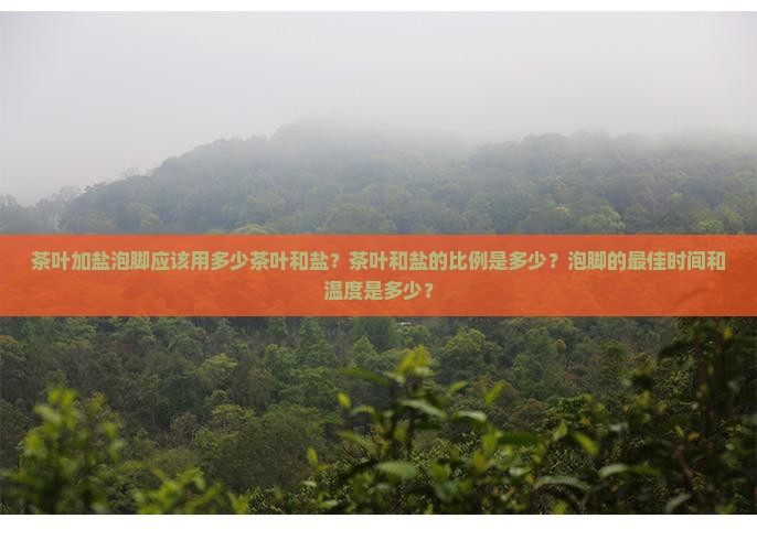 茶叶加盐泡脚应该用多少茶叶和盐